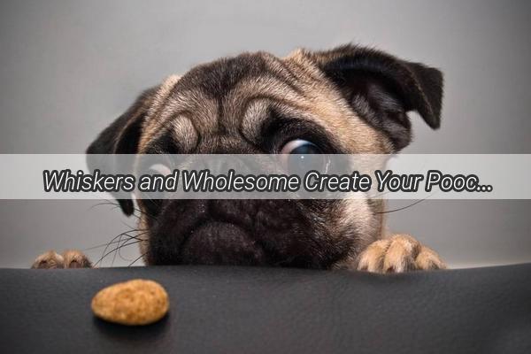 Whiskers and Wholesome Create Your Poochs Perfect Meal at Home